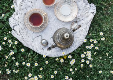 Explore More Section Article Image